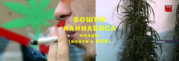 эйфоретик Баксан