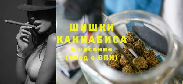 эйфоретик Баксан