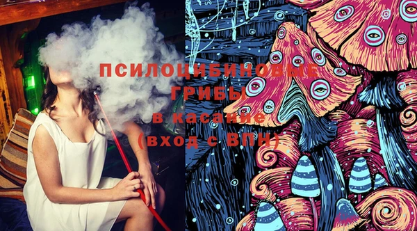 эйфоретик Баксан