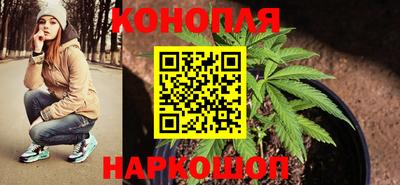 прущие грибы Обнинск