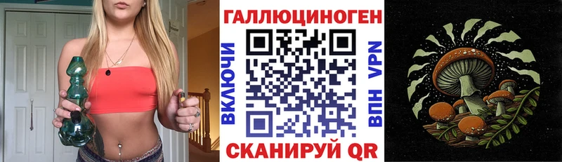 Псилоцибиновые грибы мицелий  Унеча 