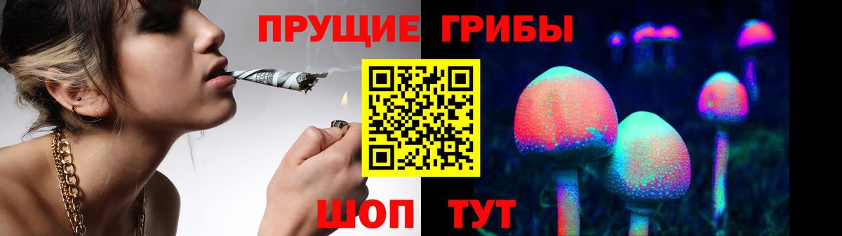 Унеча  Галлюциногенные грибы Psilocybe  Вход с VPN 
